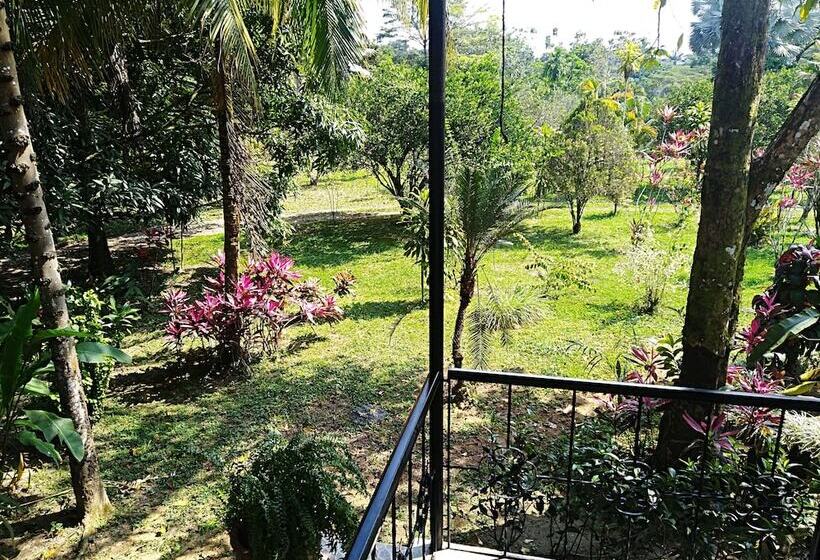 ホテル Tierralinda Finca Cottage