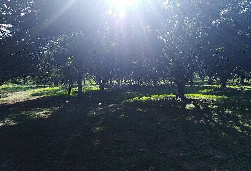 ホテル Tierralinda Finca Cottage