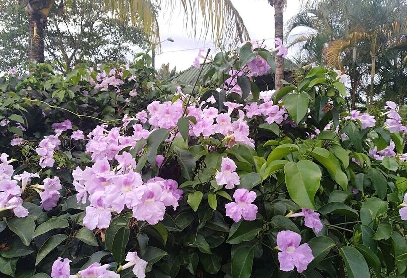 ホテル Tierralinda Finca Cottage