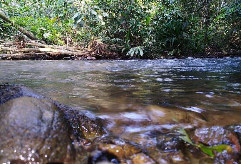 ホテル Tierralinda Finca Cottage