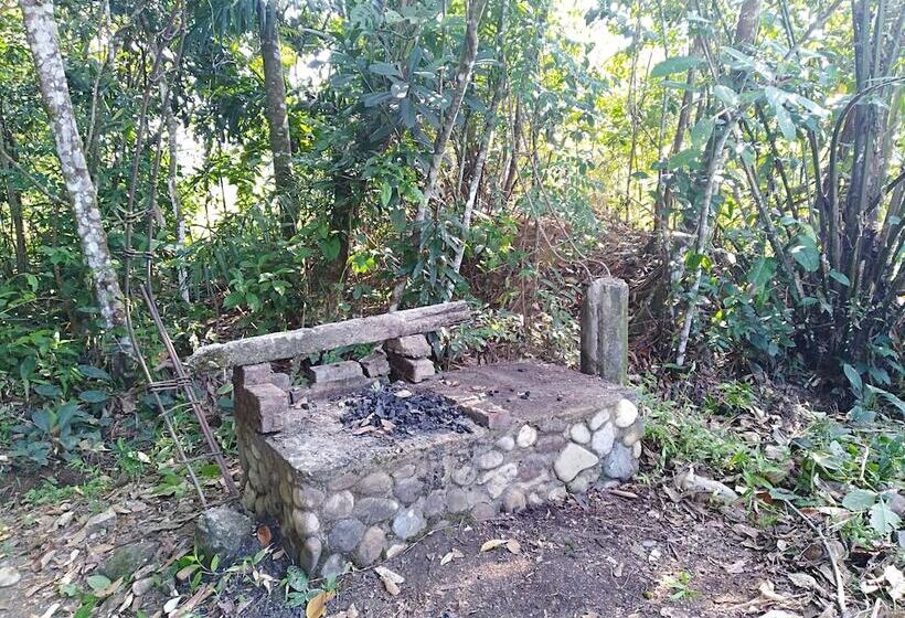 ホテル Tierralinda Finca Cottage