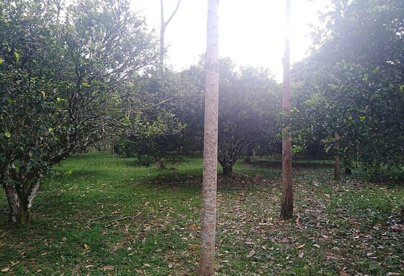 ホテル Tierralinda Finca Cottage