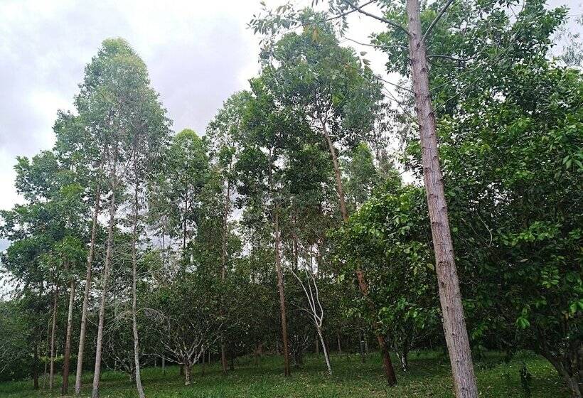 ホテル Tierralinda Finca Cottage