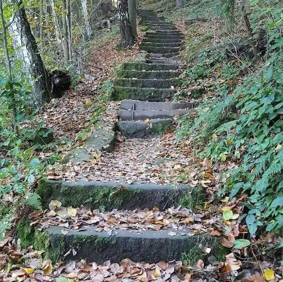 ペンション Die Burg Schöna   In A National Park
