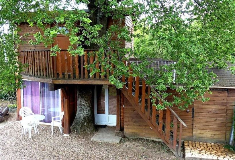 פנסיון Les Dauphins De Mareuil