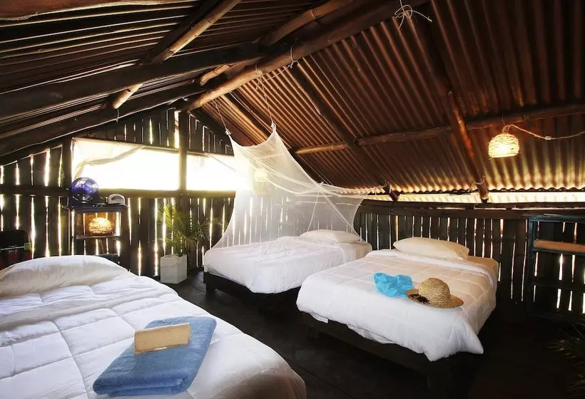 هاستل Barba Negra Lodge
