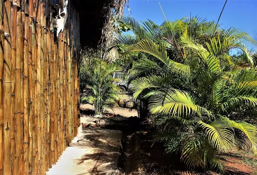 هاستل Barba Negra Lodge