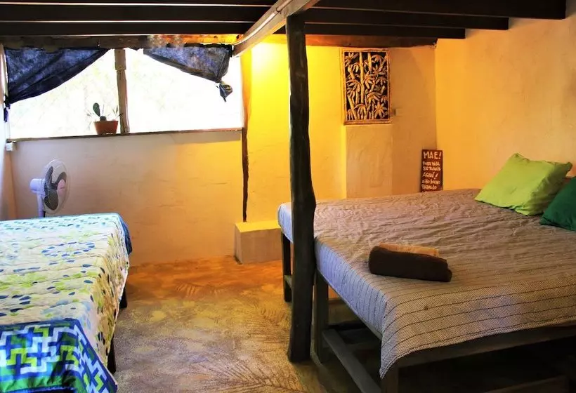 هاستل Barba Negra Lodge