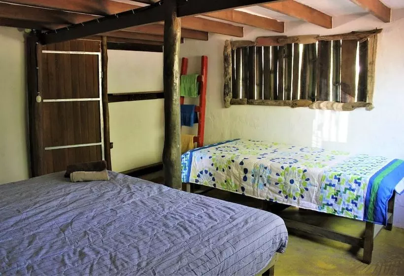 هاستل Barba Negra Lodge