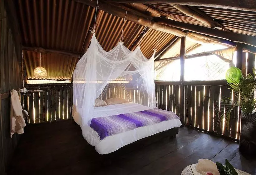 هاستل Barba Negra Lodge