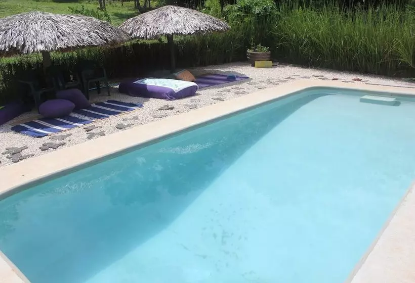 هاستل Barba Negra Lodge
