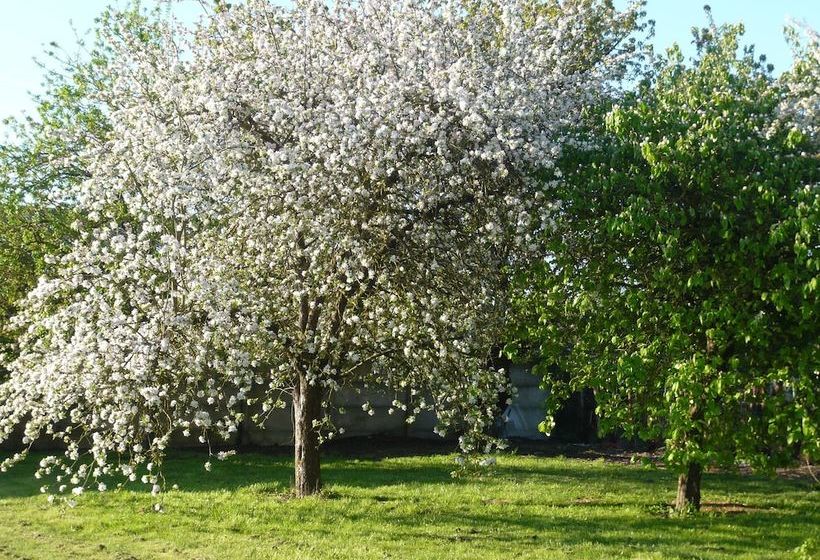 Gîte Les Trempailles