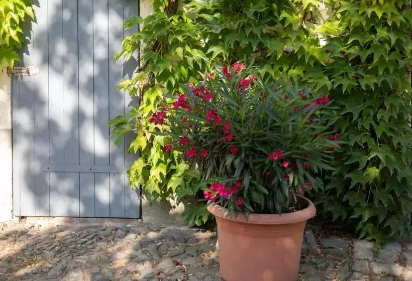 ホテル Moritz An Der Elbe