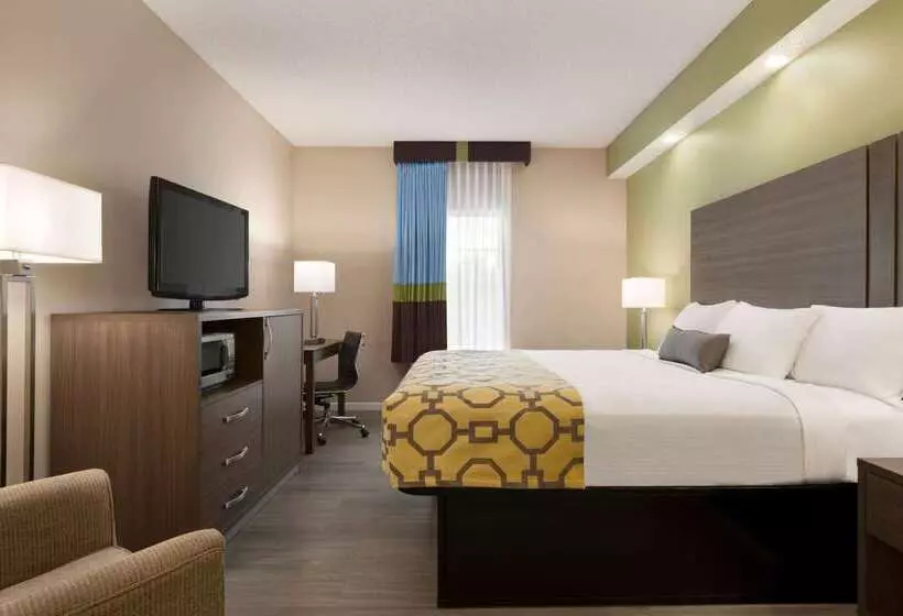 酒店 Ormond Beach Inn