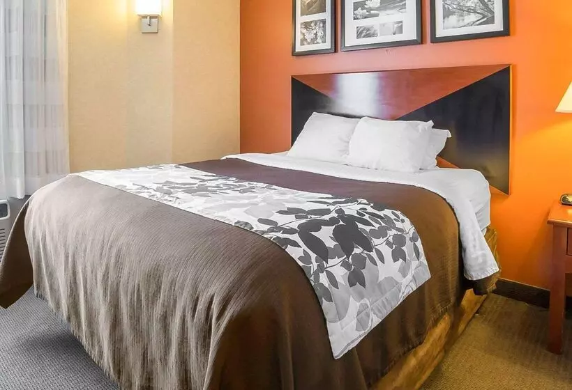 هتل Sleep Inn Billings