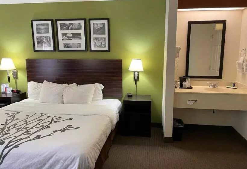 هتل Sleep Inn Raleigh Durham Airport