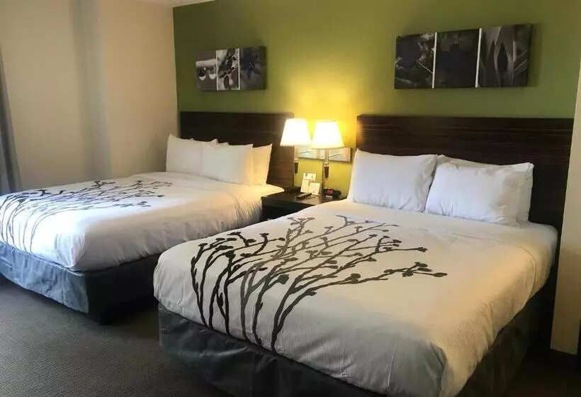 هتل Sleep Inn Raleigh Durham Airport
