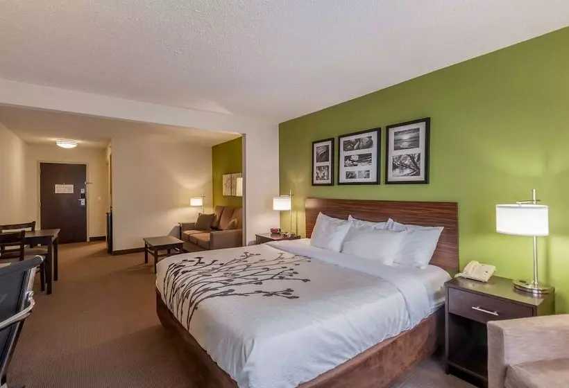 호텔 Sleep Inn & Suites Harrisonburg Near University