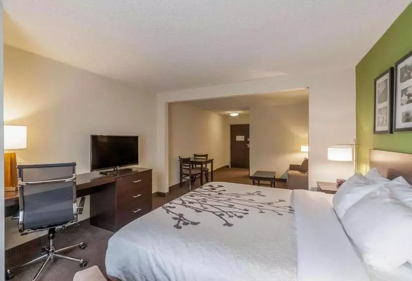 호텔 Sleep Inn & Suites Harrisonburg Near University