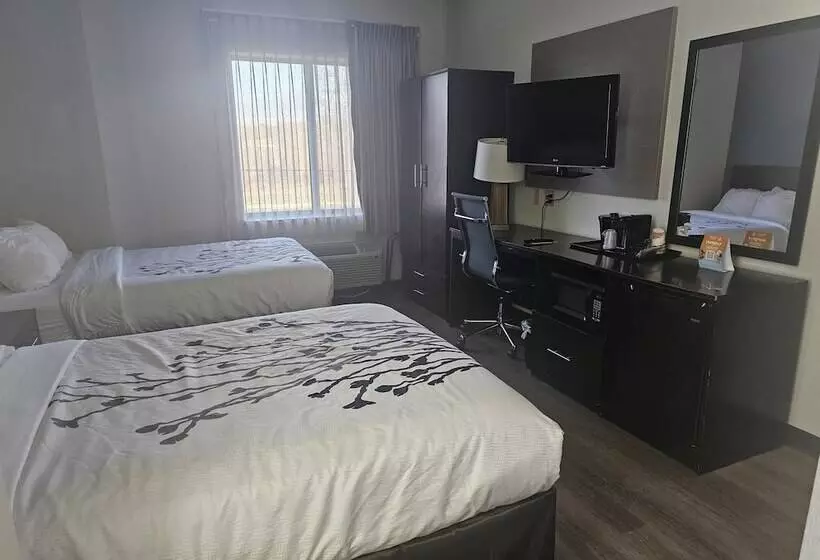 فندق Sleep Inn & Suites Kingsport Tricities Airport