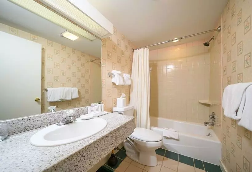 هتل Stoweflake Mountain Resort & Spa