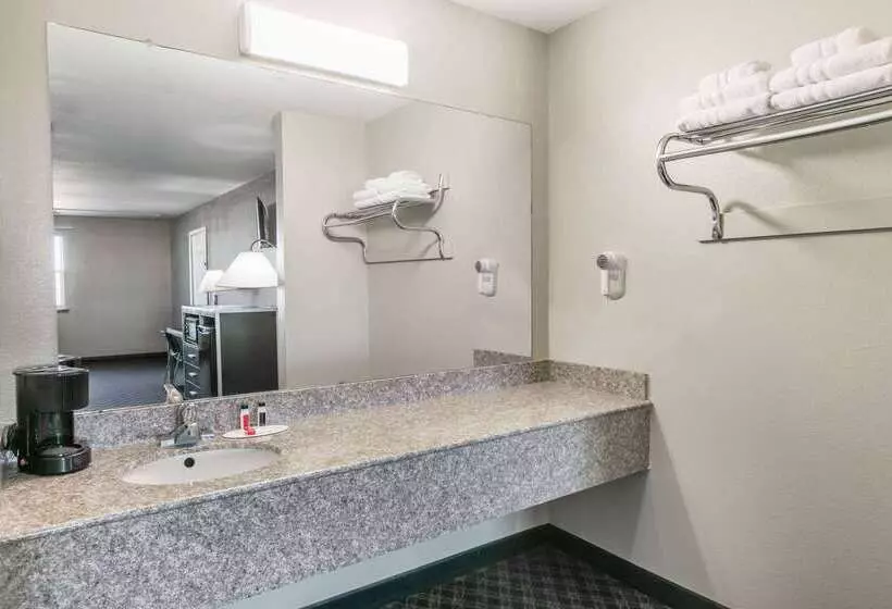 فندق Super 8 By Wyndham Arlington Near At&t Stadium