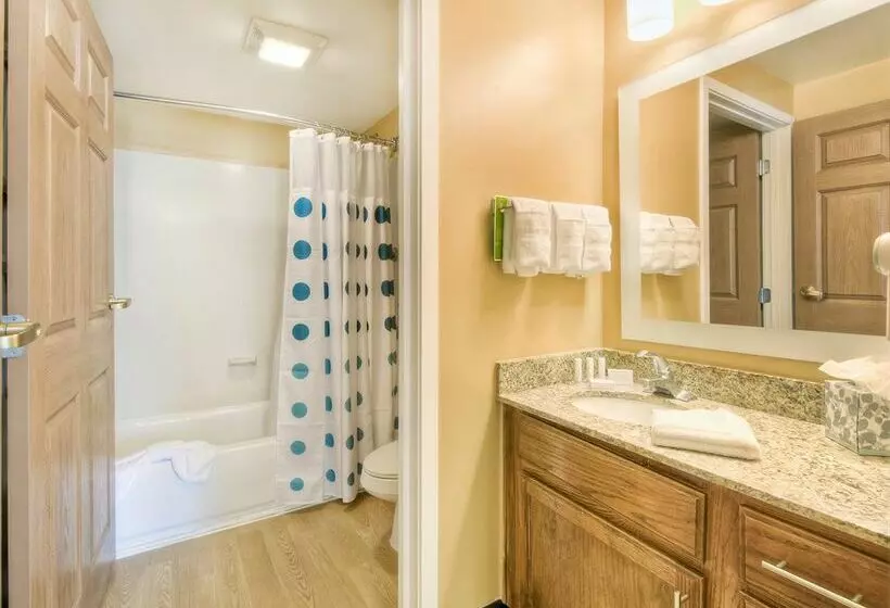 酒店 Towneplace Suites By Marriott Charlotte Univ. Research Park