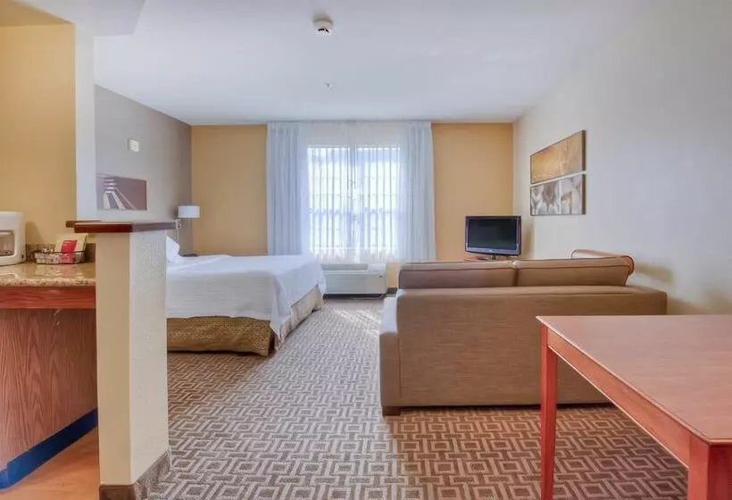 酒店 Towneplace Suites By Marriott Charlotte Univ. Research Park