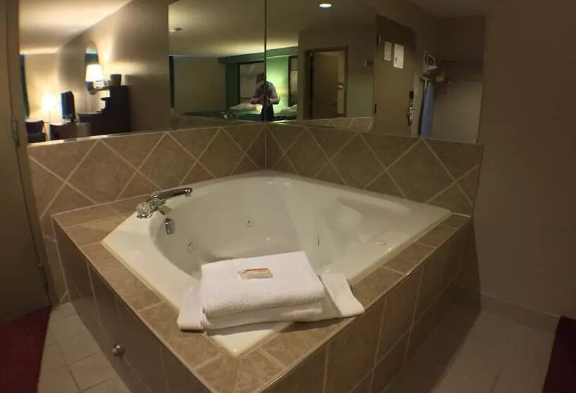 汽车旅馆 Super 8 By Wyndham Niagara Falls