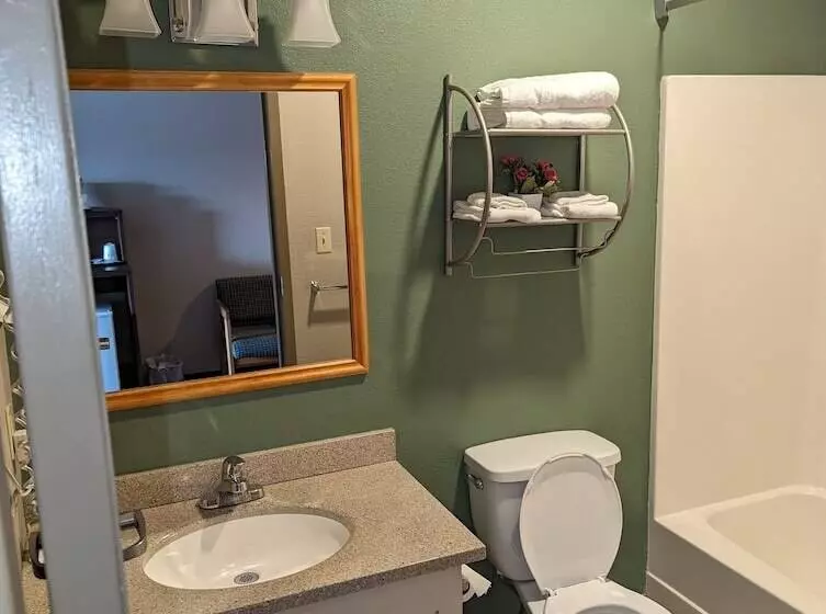 汽车旅馆 Super 8 By Wyndham Niagara Falls