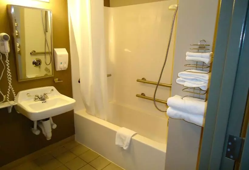 汽车旅馆 Super 8 By Wyndham Niagara Falls