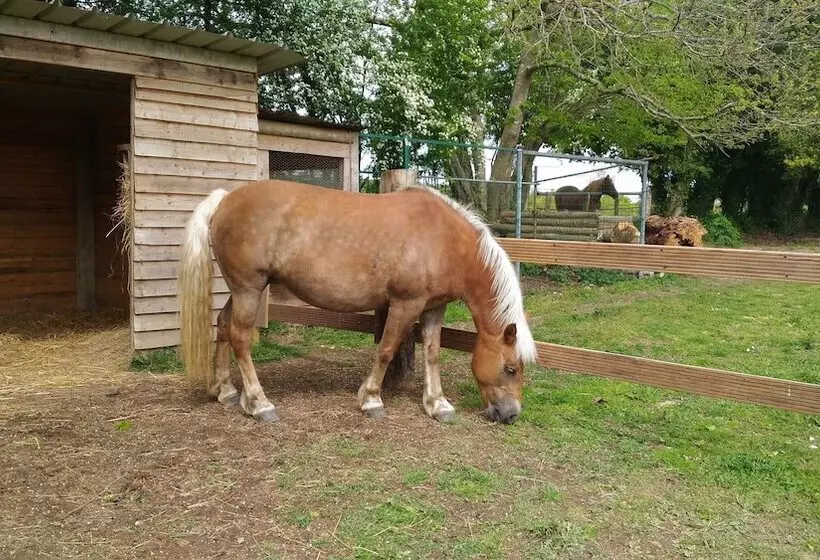 Aamiaismajoitus (B&B) Aux Agapanthes