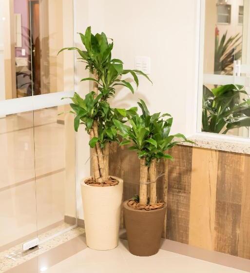 酒店 Paracambi Top