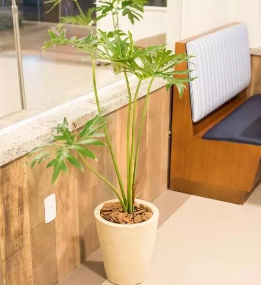 Hotelli Paracambi Top