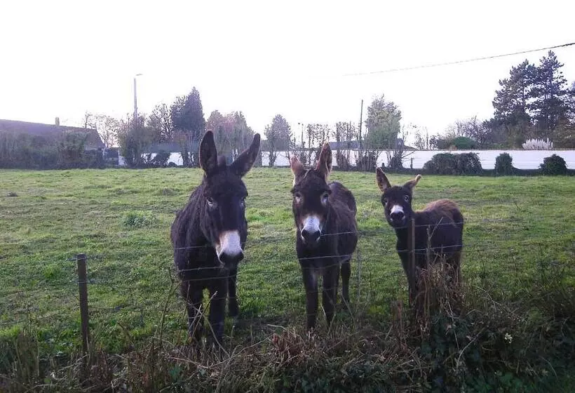 La Ferme De Tigny