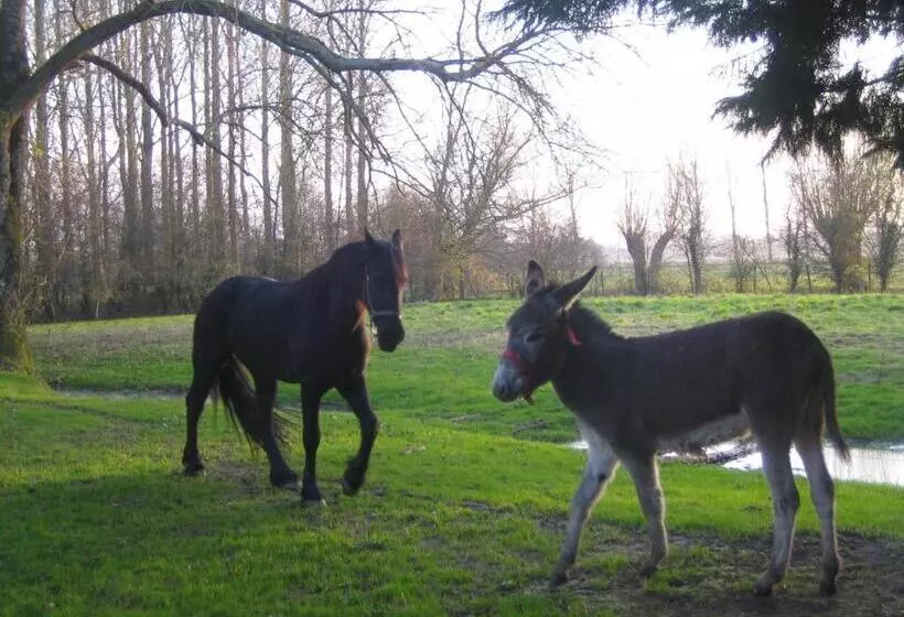 La Ferme De Tigny