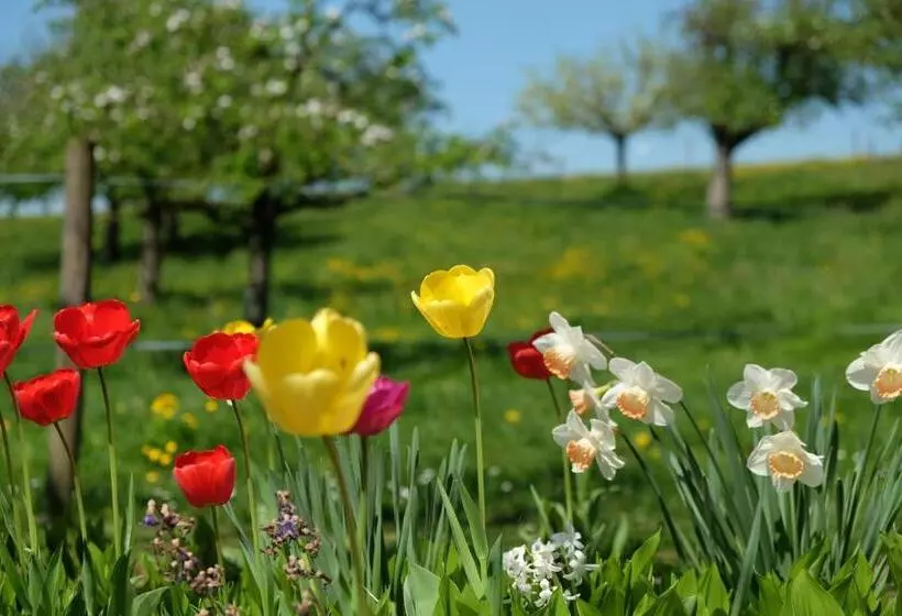 Majatalo Gasthaus Zum Bauernhof