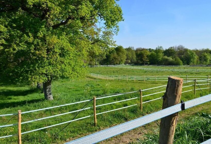 펜션 Les Granges Du Chiron   Chambres D Hôtes