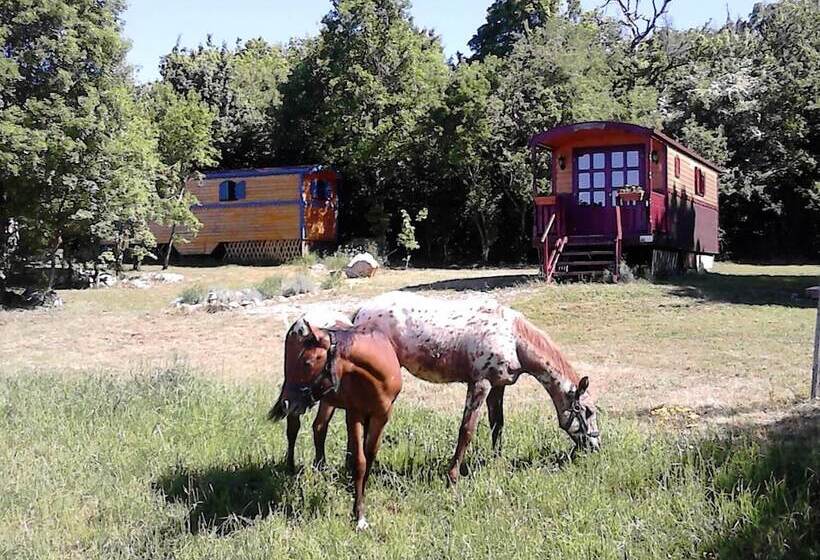 펜션 Roulotte Quinta