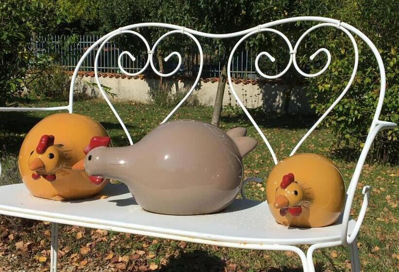 Bed and Breakfast Maison D Hôtes La Chabanaise   Marais Poitevin