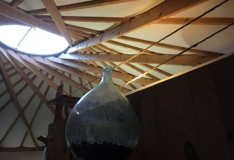 Hotelli Foxy Camp Insolite