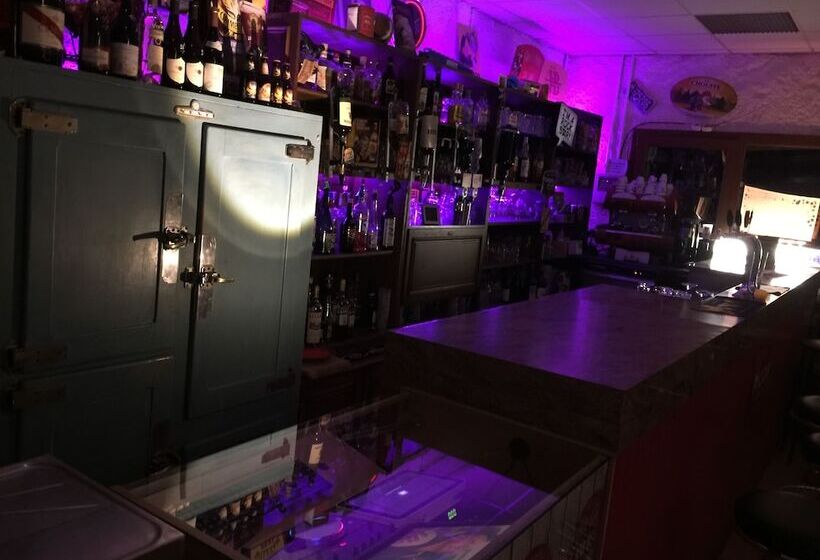 酒店 Foxy Camp Insolite