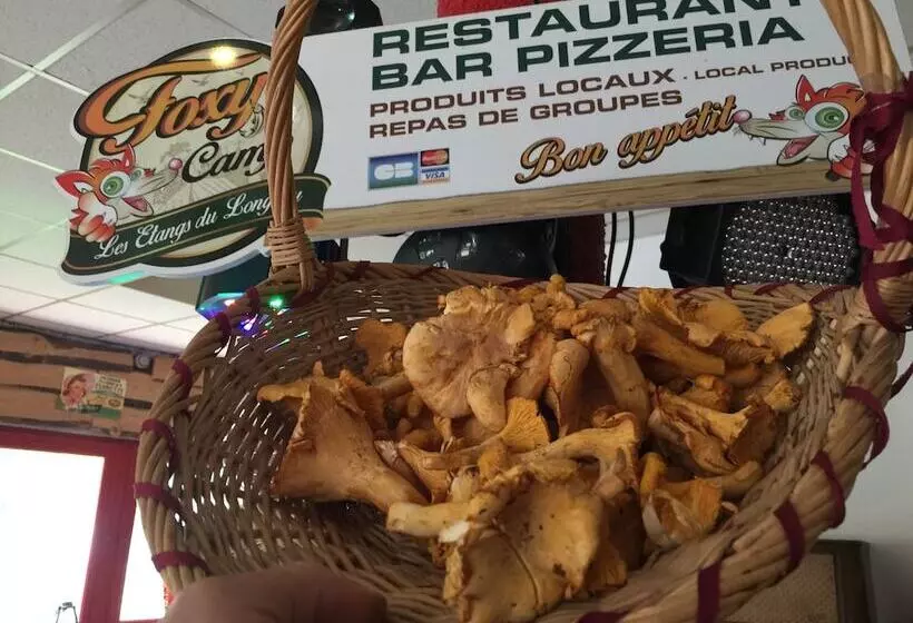 Hotelli Foxy Camp Insolite