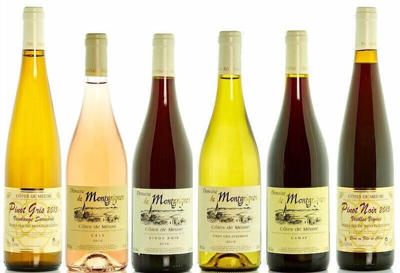 酒店 Foxy Camp Insolite