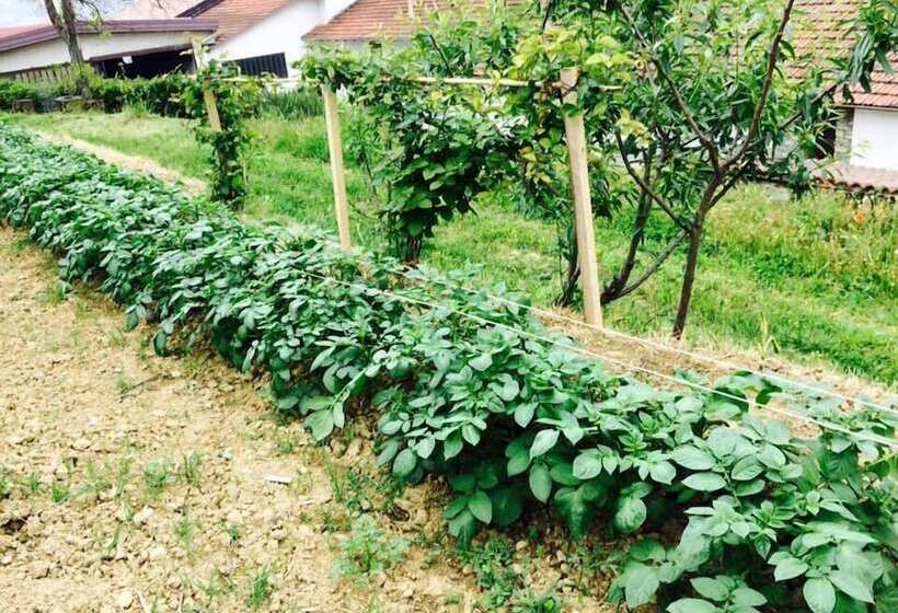 田舎風ホテル Agriturismo Adorno