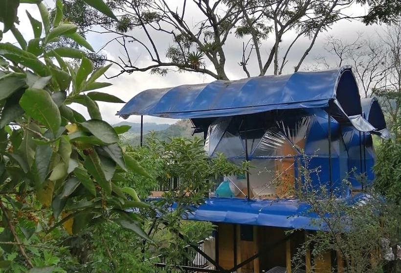 酒店 Villas De Río Glamping & Camping