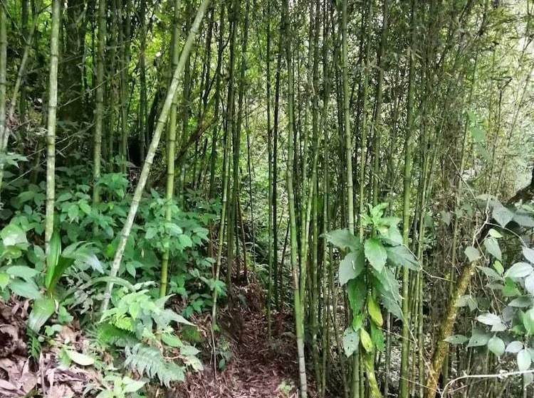 酒店 Villas De Río Glamping & Camping