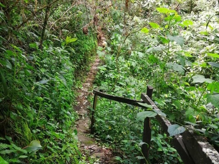 酒店 Villas De Río Glamping & Camping