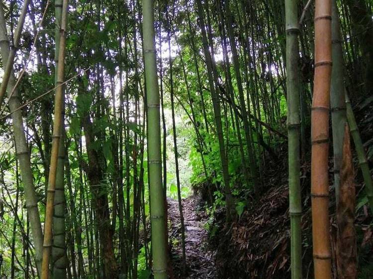 酒店 Villas De Río Glamping & Camping