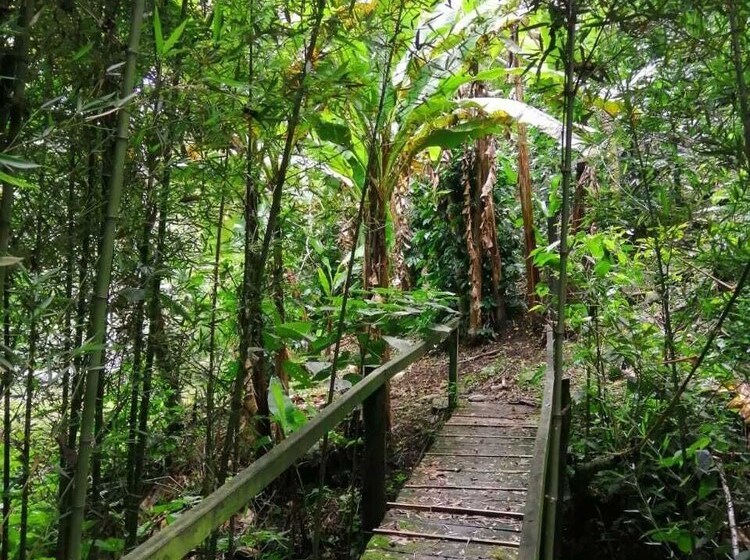 酒店 Villas De Río Glamping & Camping